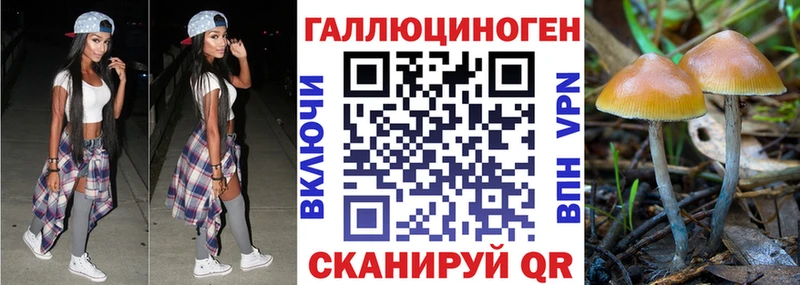 как найти закладки  Сортавала  Псилоцибиновые грибы мухоморы 